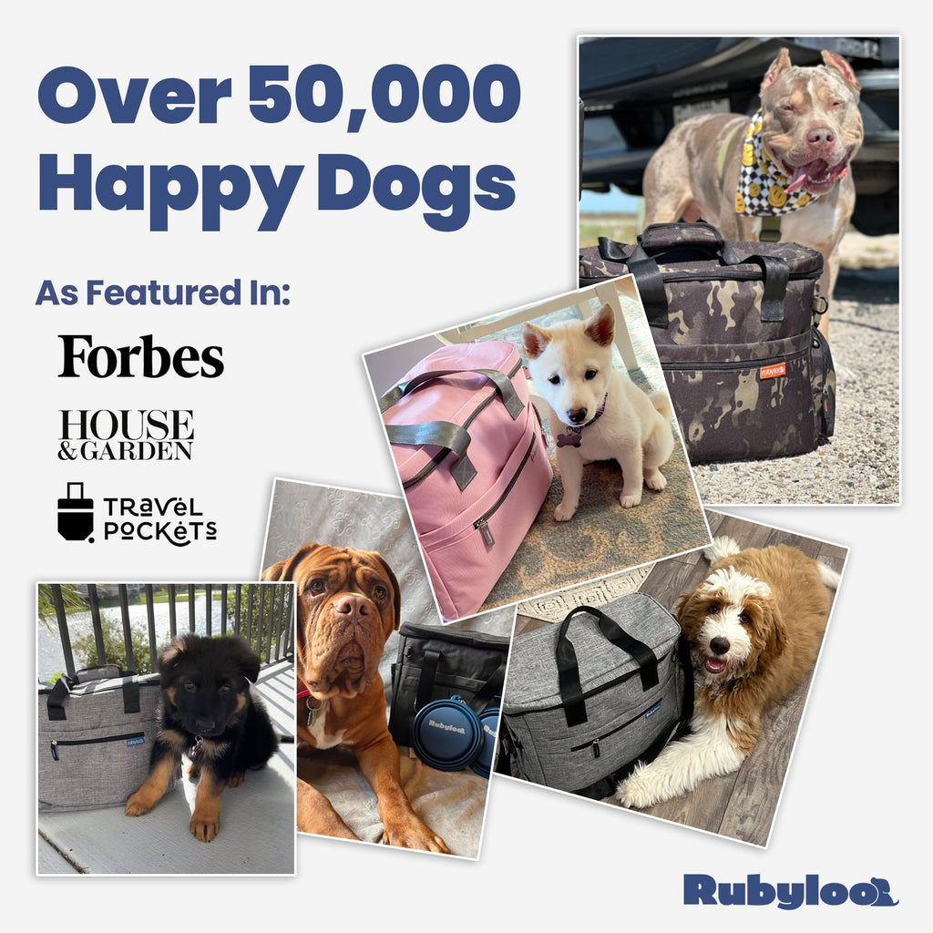 Original Doggy Bag® Travel Organizer